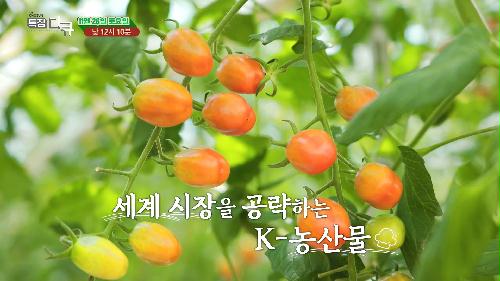 셰프,K농업 이끄는 농스타를 만나다_TV CHOSUN 특집다큐 예고 TV CHOSUN 221126 방송