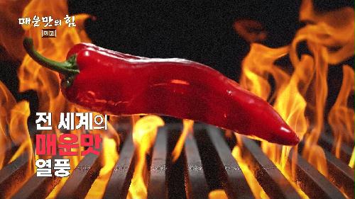 매운맛의 힘_TV CHOSUN 특집다큐 예고 TV CHOSUN 240915 방송