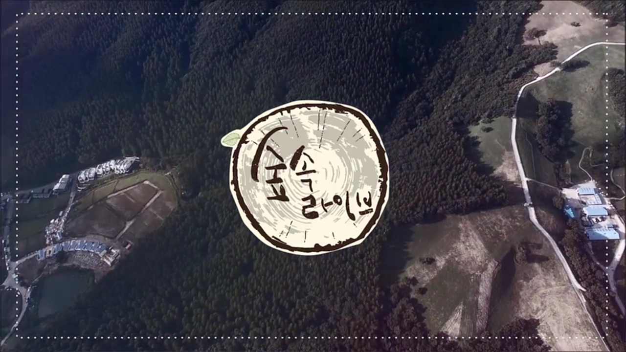 어쿠스틱 라이브 음악쇼_숲속 라이브 티저 이미지