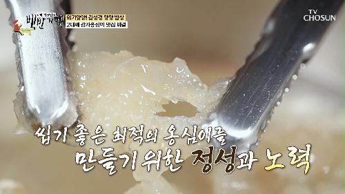 39년 전통😲 감자옹심이 맛집 비결은 주인장에 정성✨ TV CHOSUN 240721 방송