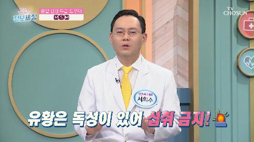 관절염이 생명을 위협한다!😱 연골을 지키는 비결🗝 ▶MSM◀ TV CHOSUN 220422 방송