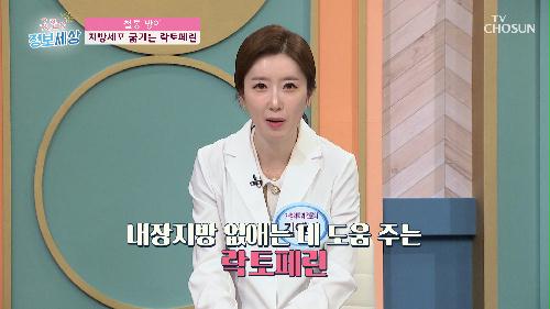 천연 면역 치료제 '락토페린' 내장지방 감소 효과까지!! TV CHOSUN 220817 방송