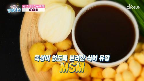 관절 건강에 도움을 주는 식이 유황인 『 MSM 』 TV CHOSUN 220913 방송