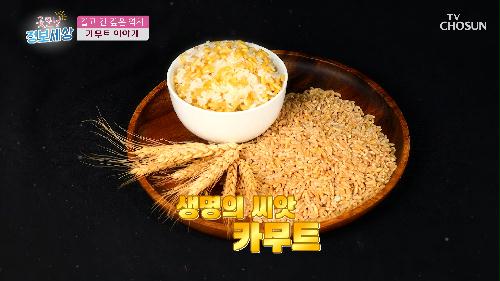 당뇨 걱정 없는 다이어트 비책 슈퍼푸드 『 카무트 』 TV CHOSUN 230413 방송