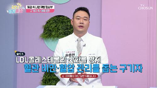 혈관 속 나쁜 지방 청소부인 ✨구기자 속 성분들✨ TV CHOSUN 240327 방송