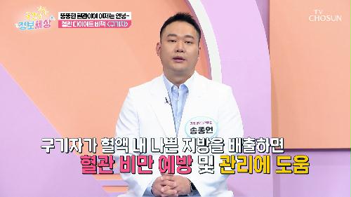 🍒구기자🍒 혈액 속 나쁜 지방 배출을 도와 혈관 다이어트😆 TV CHOSUN 240531 방송