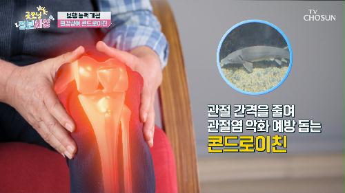 체내 염증과 독소 제거에 도움 주는 🐬철갑상어 콘드로이친🐬 TV CHOSUN 240607 방송