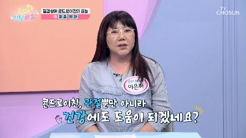 🦈철갑상어 콘드로이친🦈 관절 건강뿐만 아니라 염증 완화까지! TV CHOSUN 240830 방송