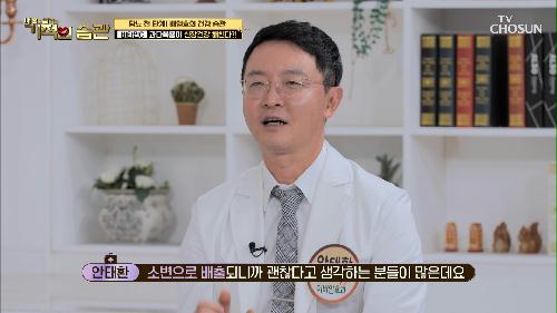 과도한 비타민C 섭취가 신장건강 악화시키는 원인 TV CHOSUN 220816 방송