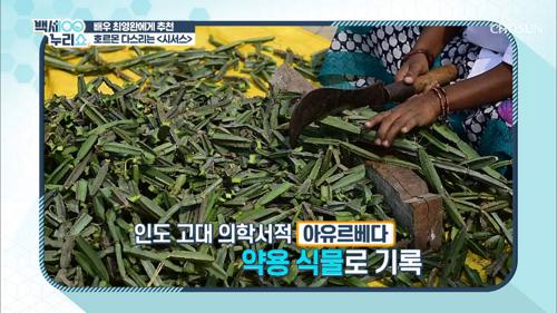 ❛이것❜ 체중 조절에 도움이 되는 식물이 있다?! TV CHOSUN 20210331 방송