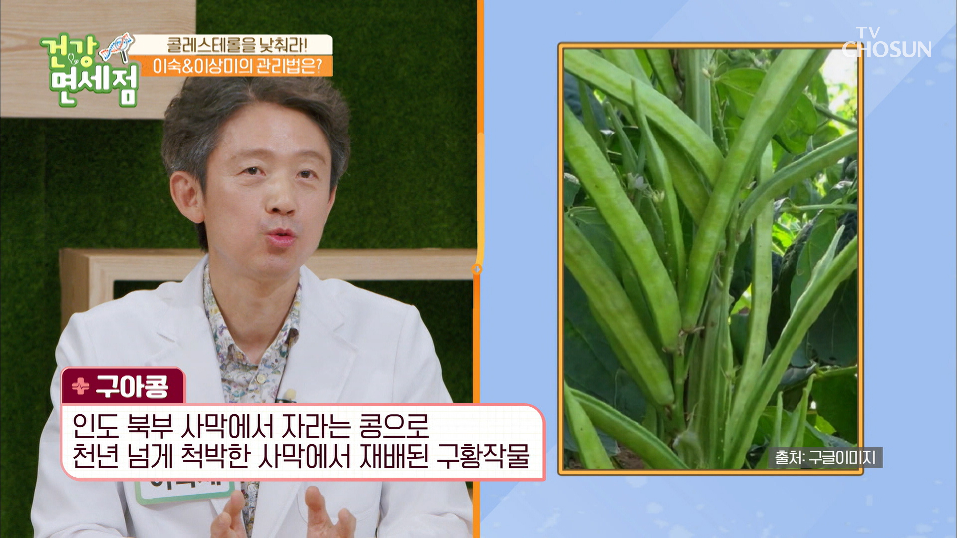 콜레스테롤을 낮춰주는 특별한 건강식품 ‘구아콩’ TV CHOSUN 20220619 방송 이미지