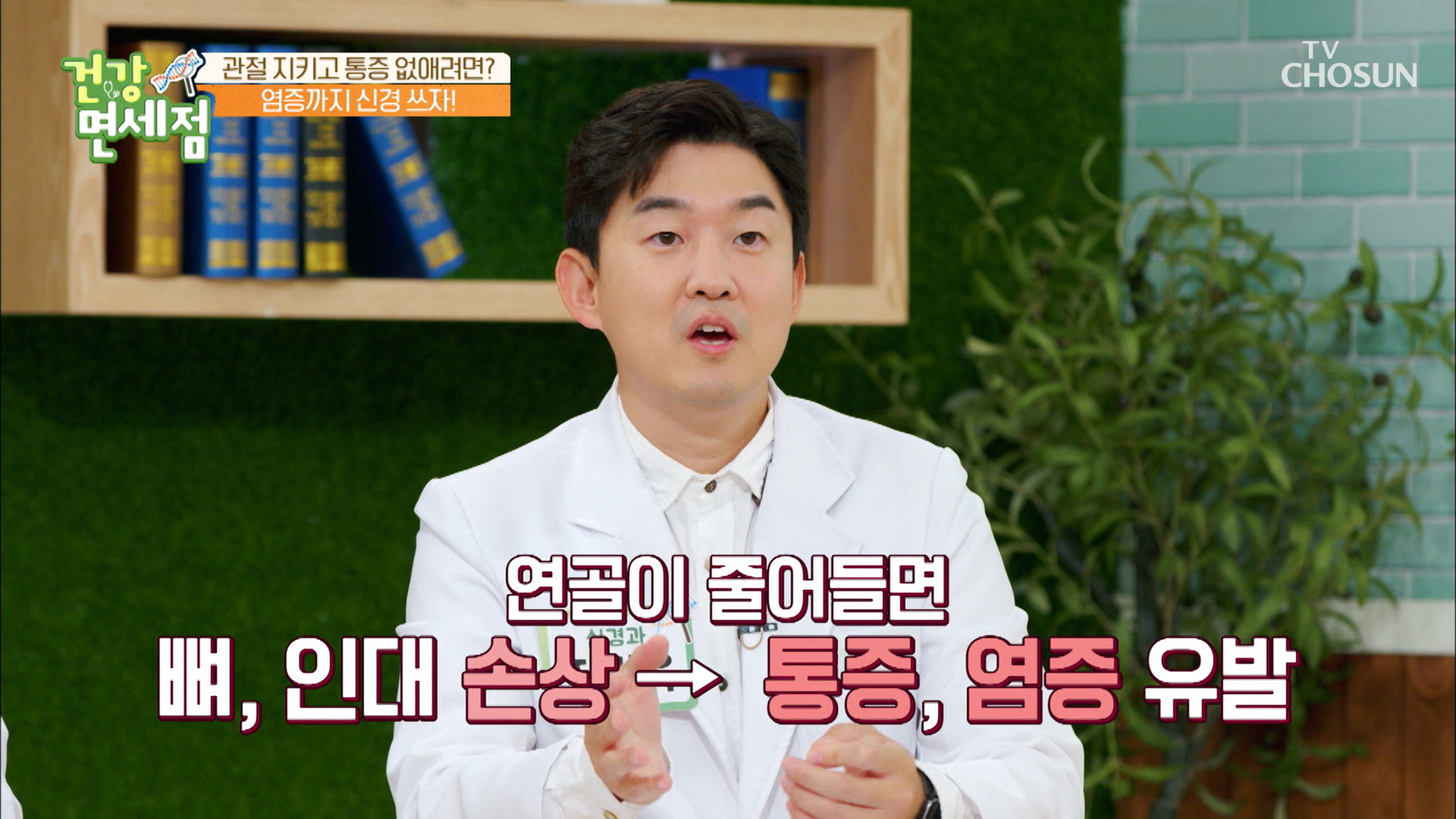 젊다고 안심은 금물! 연골의 부피에 영향을 주는 효자템~ TV CHOSUN 20220925 방송 이미지