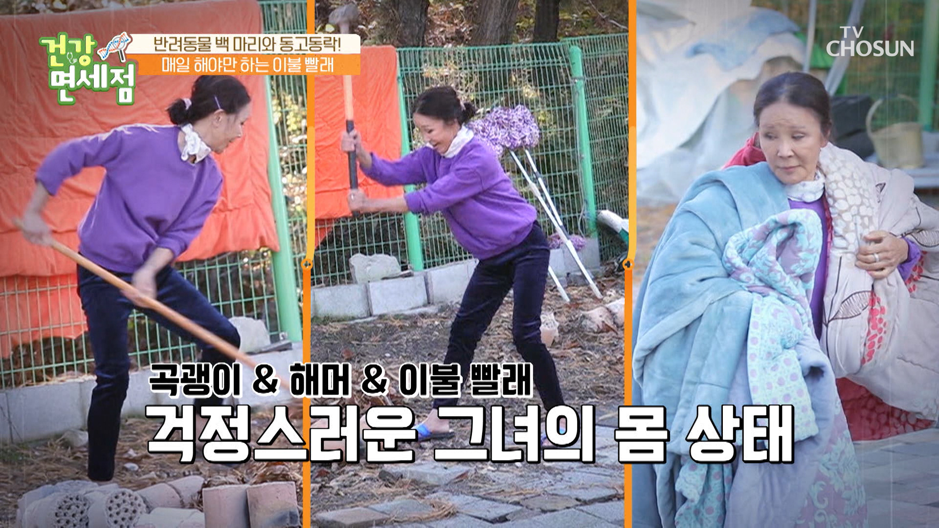 댕댕이들을 위해 쉬는 시간 없이 일만 하는 이용녀 TV CHOSUN 20221204 방송 이미지