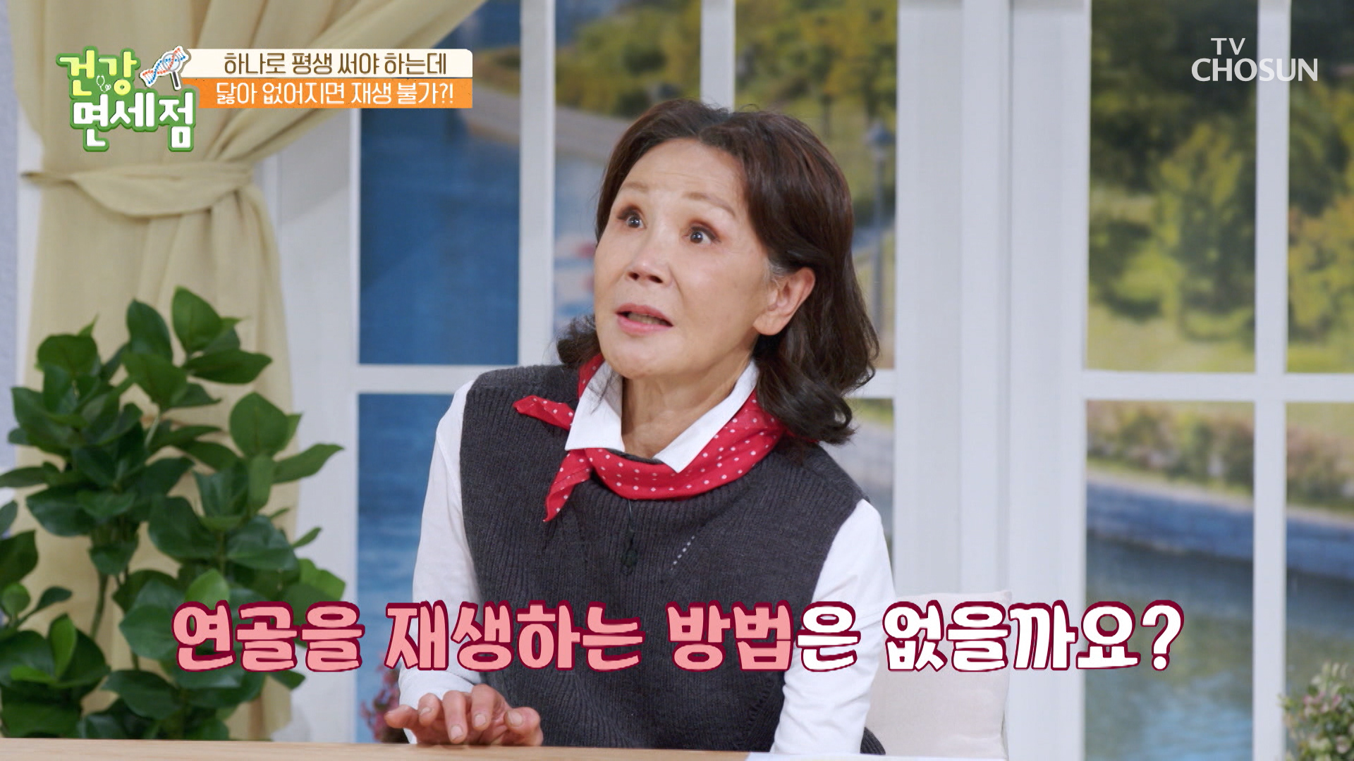돈 아껴 쓰는 법만 배웠지.. 연골도 아껴 써야 한다?! TV CHOSUN 20221204 방송 이미지