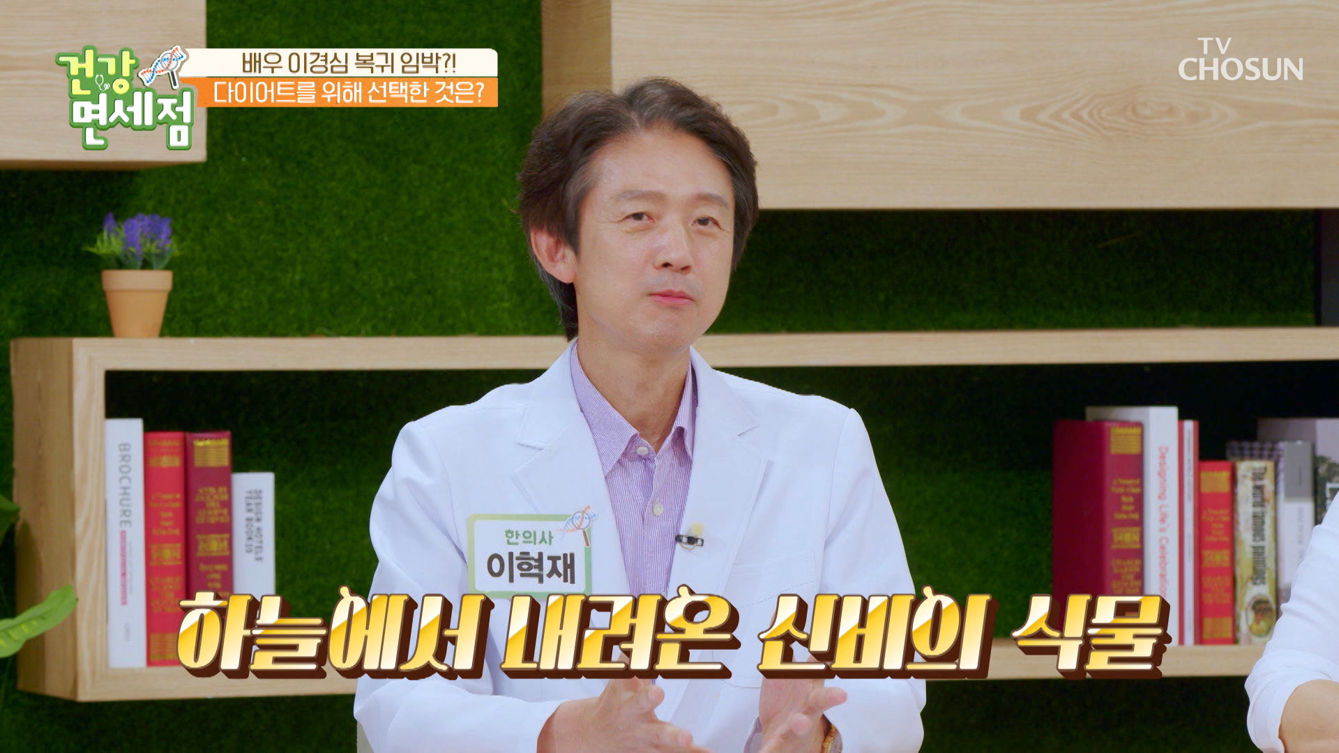 항산화 및 항염에 도움을 주는 다이어트 도우미 ✧시서스✧ TV CHOSUN 230917 방송 이미지
