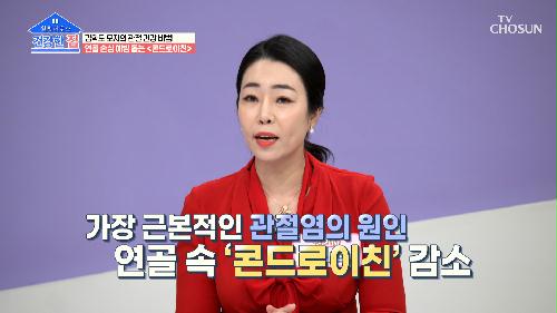 『 콘드로이친 』 김학도 모자의 관절 건강 비법😍 TV CHOSUN 20230109 방송