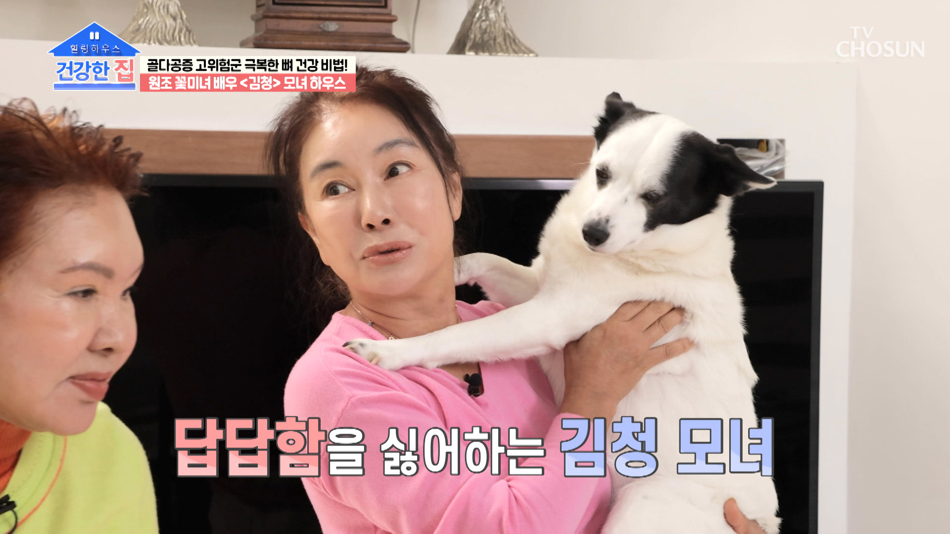 30년째 전원생활 중인 김청 모녀의 화사한 러브 하우스🏠 TV CHOSUN 230313 방송 이미지