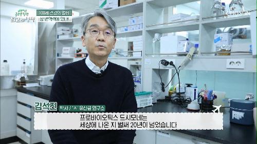 염증성 통증과 염증 완화에까지 도움 주는 효자템↗ TV CHOSUN 20220305 방송