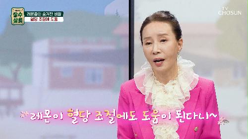 🍋레몬즙🍋 혈당 조절 & 혈관 노화 예방에 도움 TV CHOSUN 240417 방송