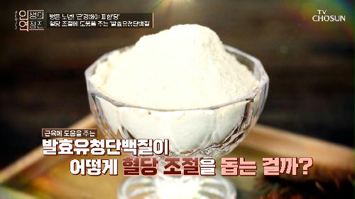 혈당 조절 및 당뇨 예방에 탁월한 『발효유청단백질』 TV CHOSUN 240320 방송