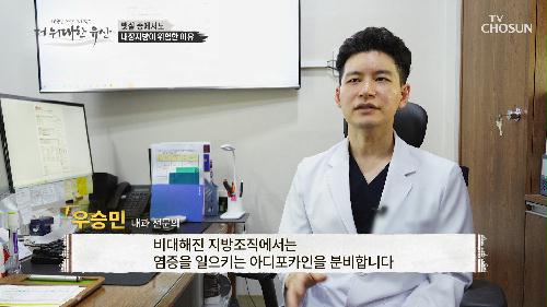 혈관을 타고 돌면서 생명을 위협하는 ‘내장지방’ TV CHOSUN 20221006 방송
