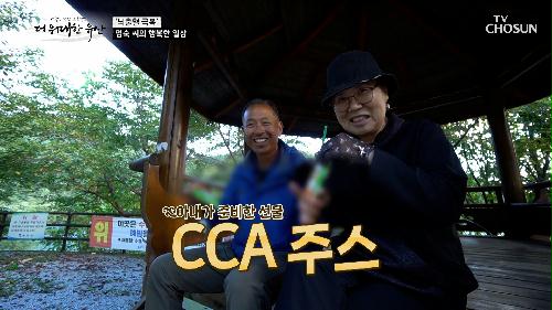 🥕CCA 주스🥕 면역력 UP & 비만 개선에 도움 주는 해독 주스🍎 TV CHOSUN 241017 방송