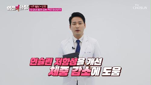 🤍PBS 혈당 유산균🤍 혈당 잡고 체지방도 잡는다?!😲 TV CHOSUN 240322 방송