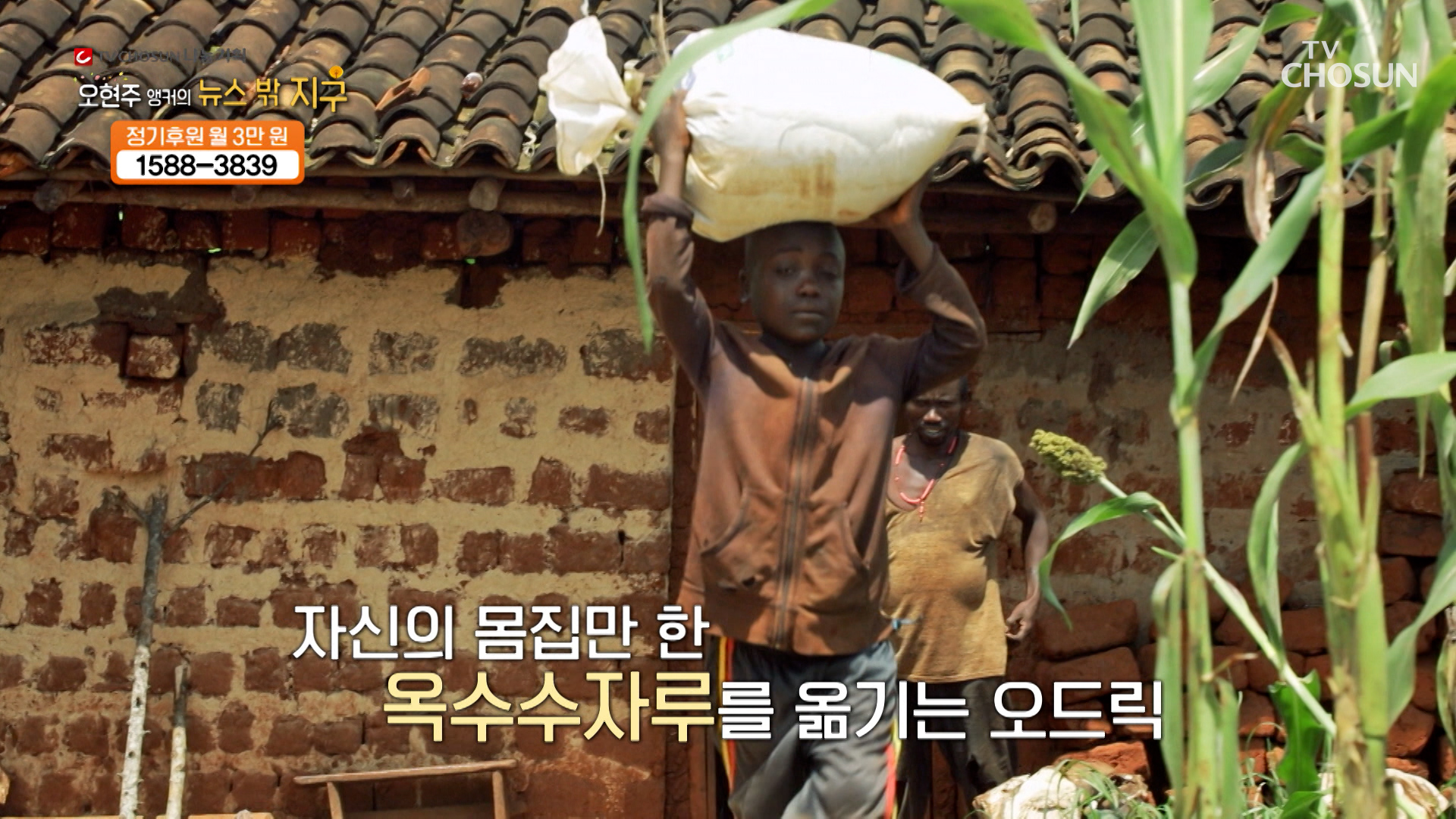 음식을 구하기 위해 무슨 일이든 마다하지 않는 아이의 생활 TV CHOSUN 240405 방송 이미지