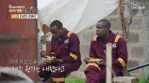 부족한 영양을 채우기 위해 밀이🌾 아닌 고구마를🥔 선택 TV CHOSUN 240528 방송