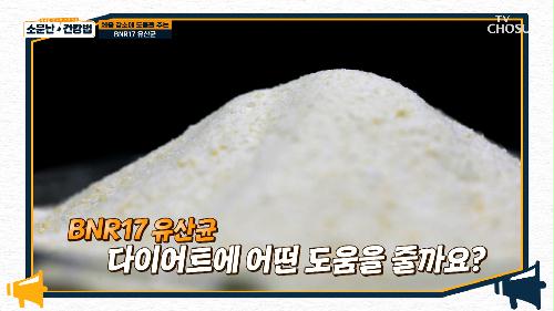 체지방 감소 및 다이어트에 탁월한 『유산균 BNR17』 TV CHOSUN 240316 방송