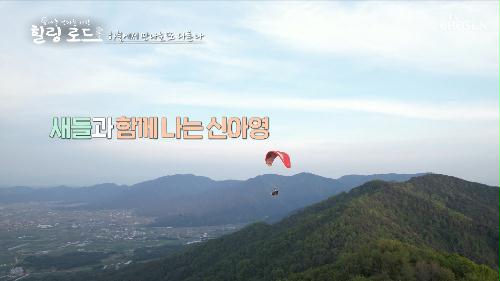 아름다운 대암산 풍경을 즐길 수 있는 패러글라이딩😎 TV CHOSUN 230610 방송