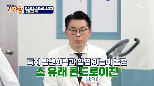 🐮소 유래 콘드로이친🐮 높은 항염 기능으로 관절 통증 DOWN⬇ TV CHOSUN 231211 방송