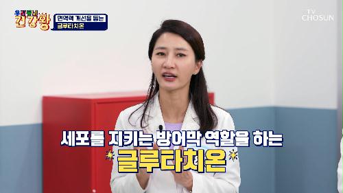 💛글루타치온💛 강력한 항산화력으로 면역력 UP!!😍 TV CHOSUN 231218 방송