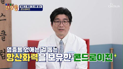 🛡콘드로이친🛡 염증 완화를 도와 연골을 탱탱하고🎈 건강하게👍 TV CHOSUN 240205 방송