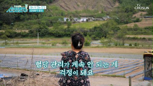 무서운 가족력😫 당뇨 늪에 빠져 귀촌까지🌳 선택하게 된 그녀 TV CHOSUN 240606 방송