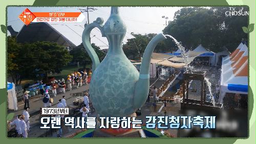 ✨반값 여행의 매력 강진 & 천년의 맛 영덕대게축제✨ TV CHOSUN 240227 방송