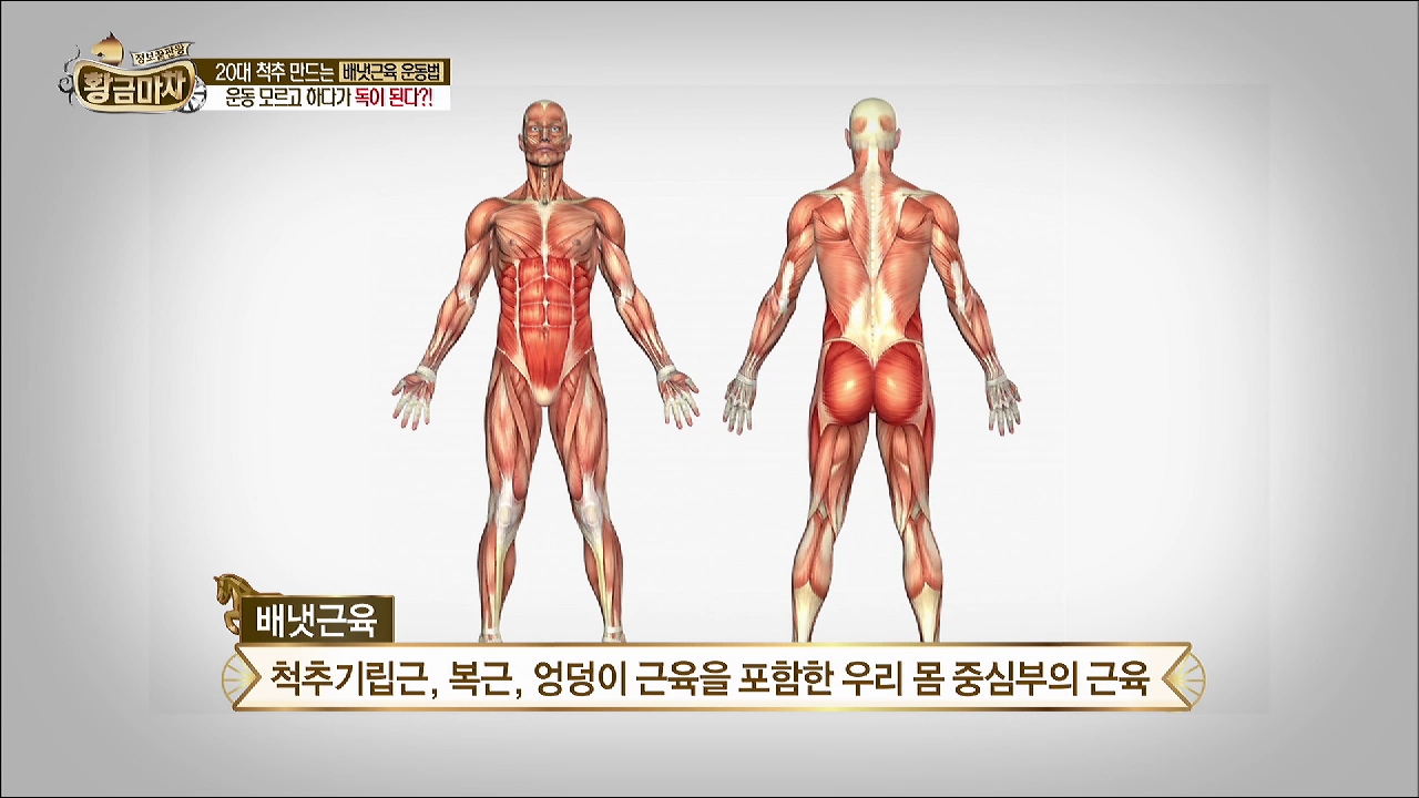 20대 척추 만드는 배냇 근육 운동에 대해 알아본다. 이미지