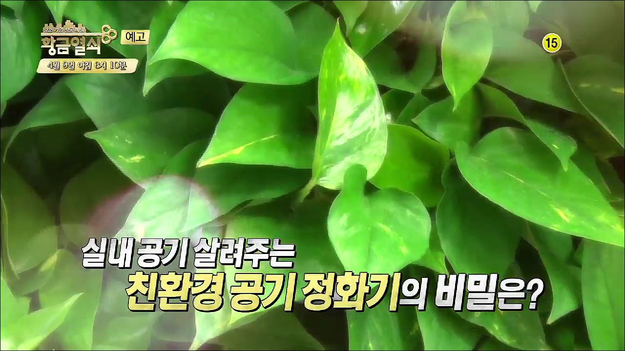 친환경 공기 정화기의 비밀은?_황금열쇠 14회 예고 이미지