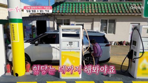 바쁘다 바빠 ‍  잠시도 쉬지 않는 일개미 엄마   TV CHOSUN 250302 방송