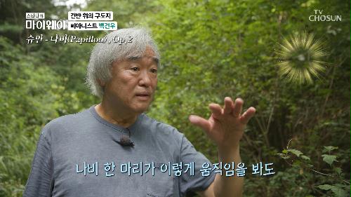 백건우 휴식처 숲🌳 손끝에서 새겨지는 자연 교향곡 TV CHOSUN 20210905 방송