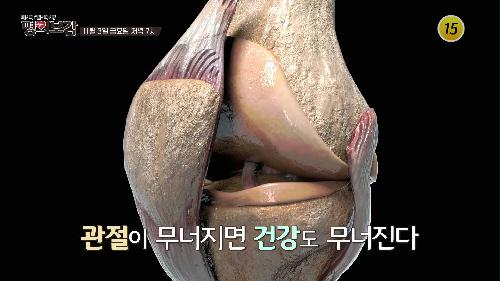 무릎 관절을 지키고 퇴행성 관절염을 예방하는 방법은?_메디컬다큐 명의보감 23회 예고 TV CHOSUN 231103 방송 이미지