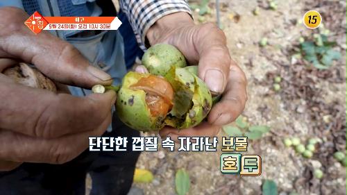 슬기로운 아침 45회 예고 TV CHOSUN 240924 방송 이미지